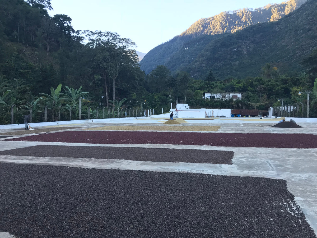 La Bolsa - Guatemala