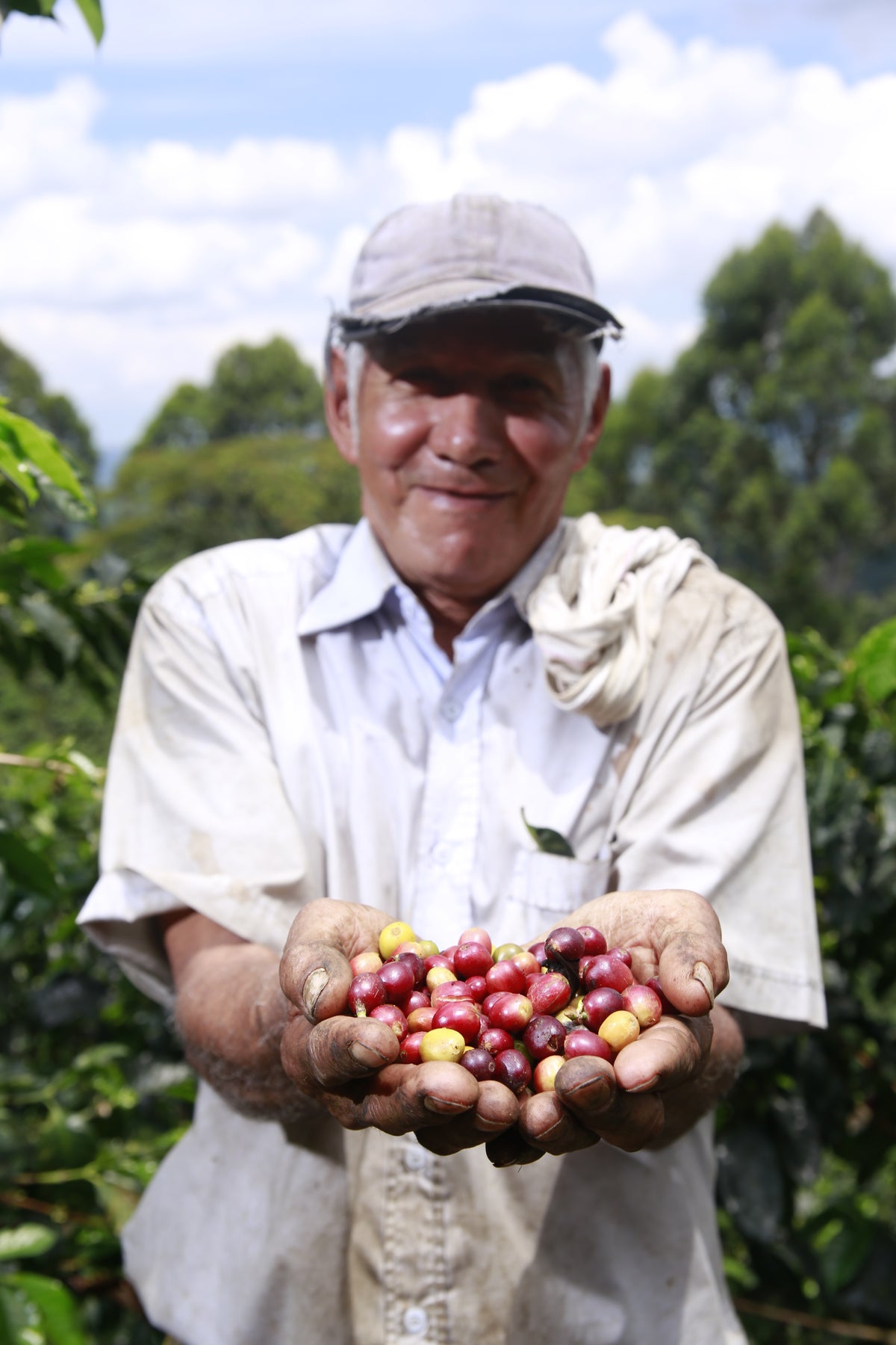 El Dorado  - Colombia